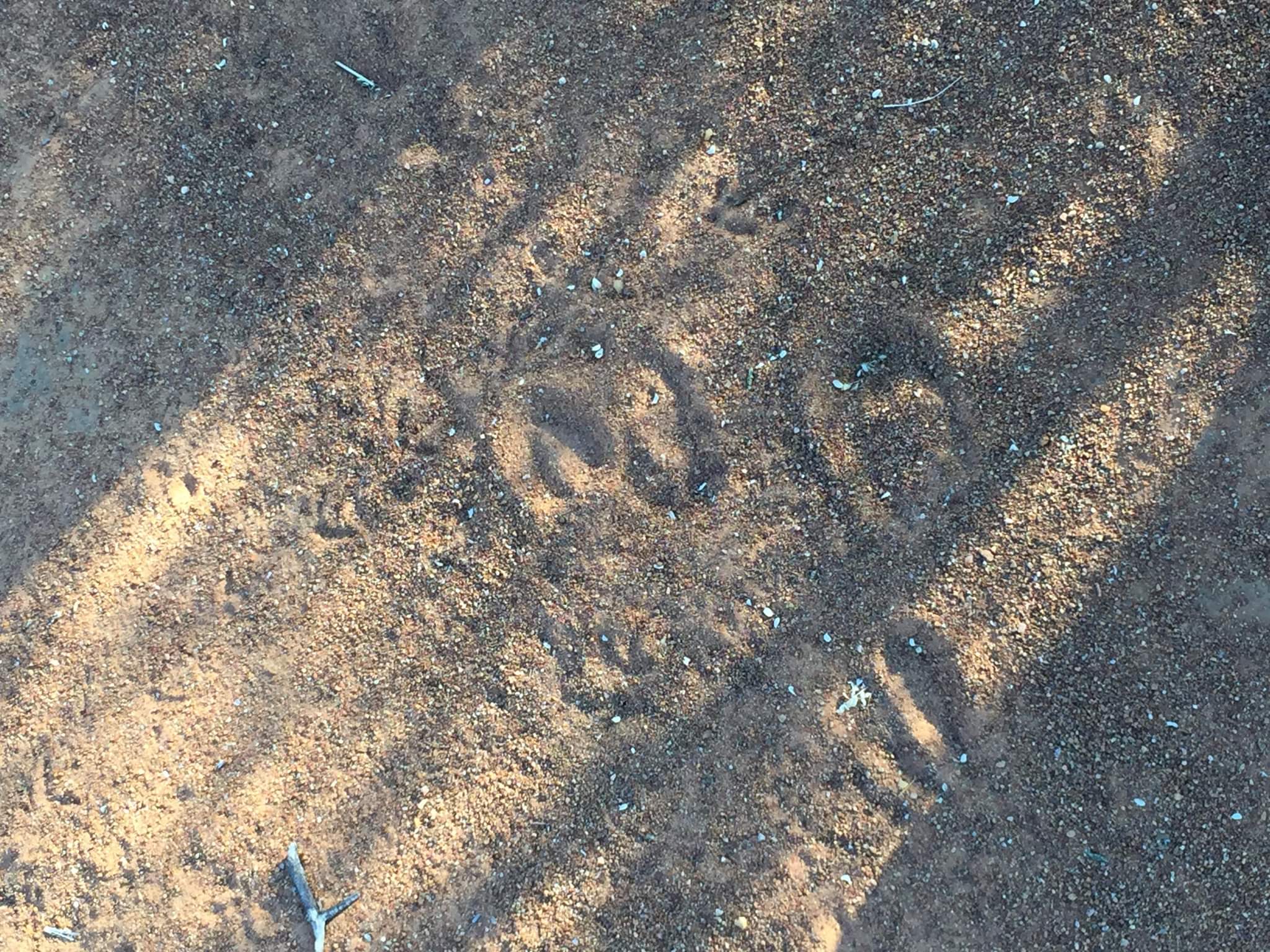 Empreintes sur le sable