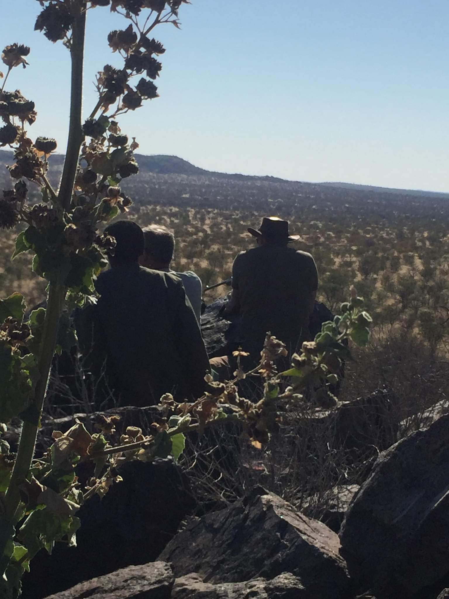 En position au dessus de l'Oryx