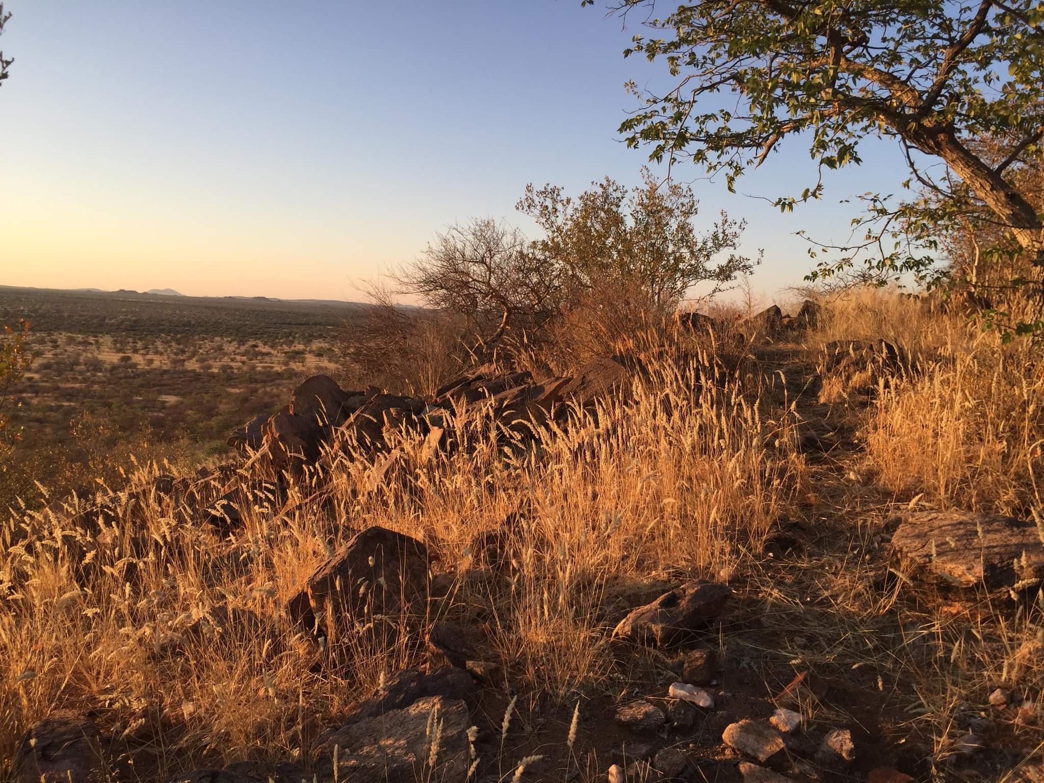 Superbe paysage Namibie
