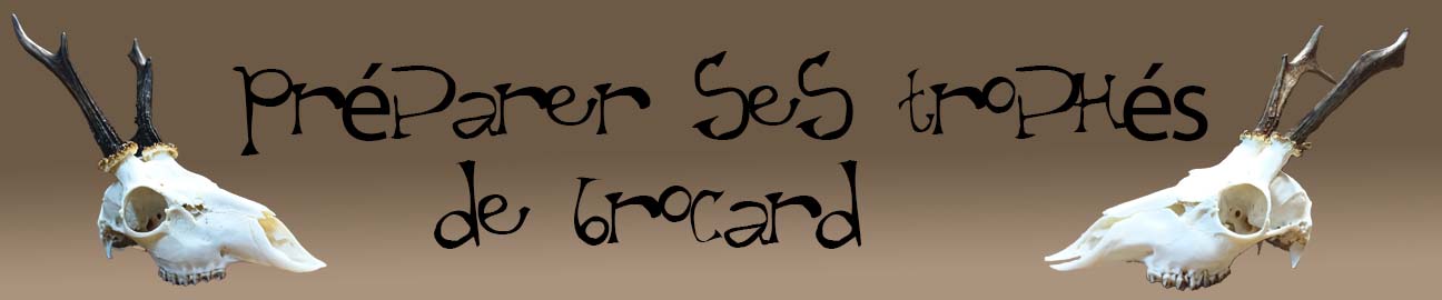 Préparer ses trophés (brocard)